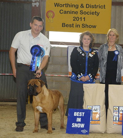 Dylan Best In Show 2011